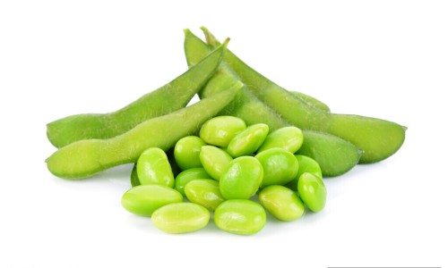 鼻粘膜发炎是什么症状-鼻粘膜溃烂症状网 | 鼻粘膜增厚有什么症状,鼻粘膜糜烂的症状有哪些