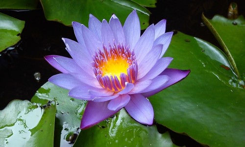 鼻粘膜溃烂怎么治-鼻粘膜溃烂症状网 | 鼻粘膜增厚有什么症状,鼻粘膜糜烂的症状有哪些